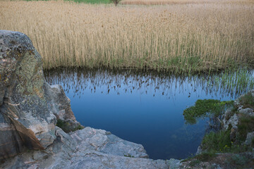 Reflection of dry reeds in the blue water of the lake.