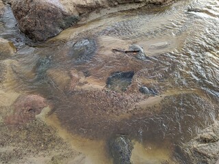 river flow between wide stones in the daytime