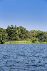 Lake in Front of Trees, Schleswig-Holstein, Germany, Europe