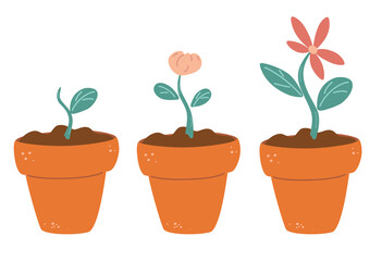 Obraz premium Process of flower growth. Vector image of three stages of growth of a beautiful flower in a brown pot. Plant growing stages. Harvest, product, offspring. Growing process vector flat icon.