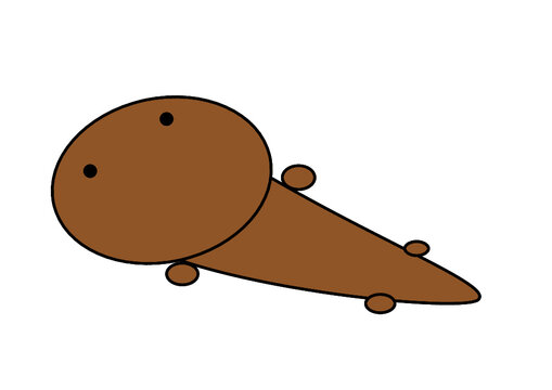 オオサンショウウオ の画像 223 件の Stock 写真 ベクターおよびビデオ Adobe Stock