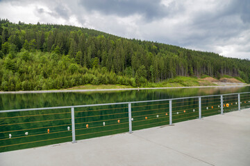 Front view of beautiful large lake and incredible green trees in forest. Concept of beautiful landscape nature.