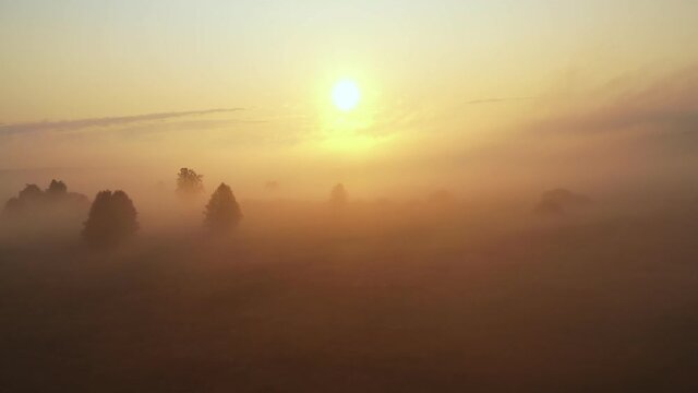Drone flying forward over mysterious foggy field, trees and winding river under thick mist towards epic rising sun.