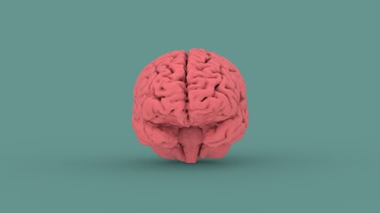 Pink human brain front view isolated on blue background 3d render image