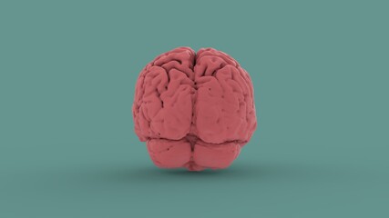 Pink human brain back view isolated on blue background 3d render image