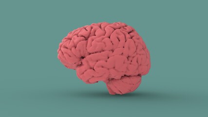 Pink human brain side view isolated on blue background 3d render image