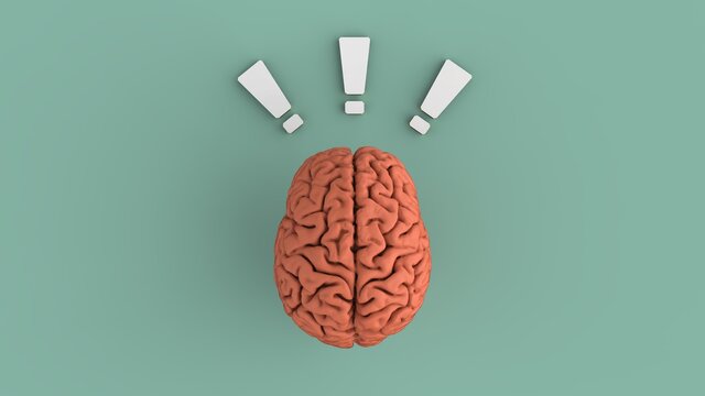 Brain with white exclamation mark concept to creative idea brainstorm top view 3d render image