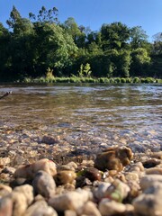 rio natureza árvores 