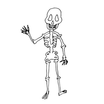 A Human Skeleton. Vector children's illustration. A set for children's holidays. Print on fabric. Doodle.