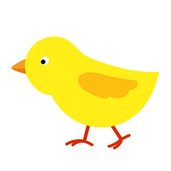 Vector illustration of a chick. Walking chicken isolated.
