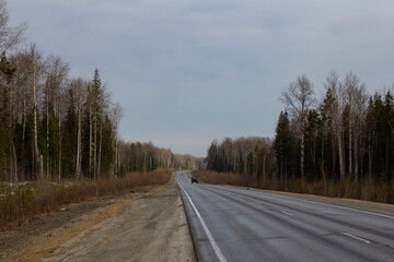 A straight track goes through the forest. An asphalt two-lane road in Siberia.