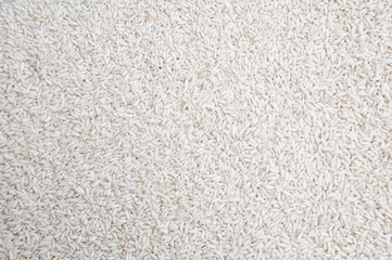Fototapeta premium Organic rice kernels in Thailand, organic glutinous rice kernels.