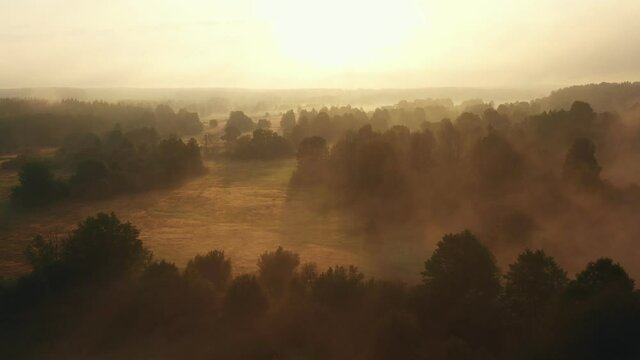 Drone flying backwards over incredible sunrise valley, trees and river covered with thick fog mist on summer dawn.