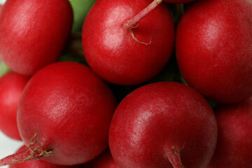 Fresh red radish on whole background, close up