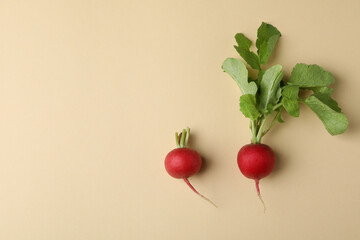 Fresh radish on beige background, space for text