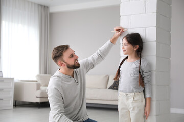 Fototapeta premium Father measuring daughter's height near white brick pillar at home
