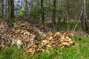 Umweltverschutzung, Entsorgung von Gartenabfällen in der Natur