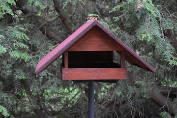 bird house