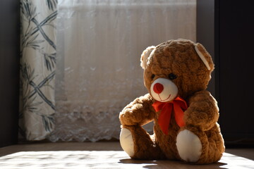 teddy bear in the window