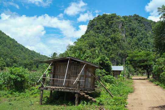 bamboo hut jungle asia