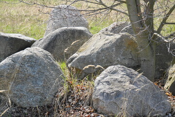 Obraz premium Findlinge in Pritzen, Brandenburg