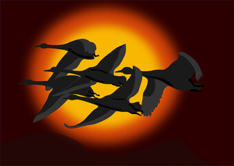 Fototapeta premium flock of geeseGeese fly over a mountain range at sunset