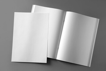 Paper sheet and open blank brochure on light grey background, flat lay