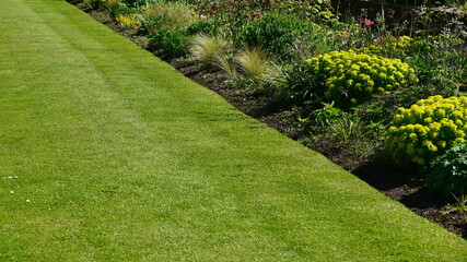Obraz premium garden lawn and flowers