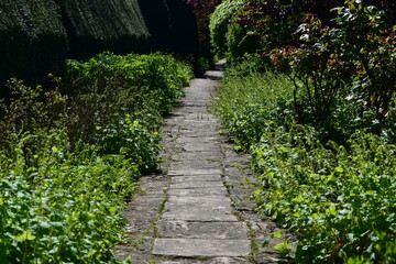 path in the garden