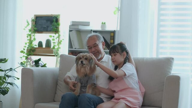 Grandfather and granddaughter with dog sitting on the sofa They laugh and have fun with the dogs. Health care ideas for the family and the elderly