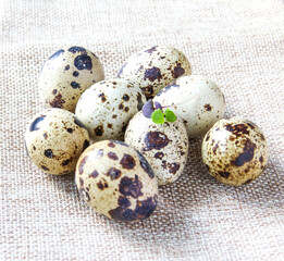 Quail eggs on the white napkins on the rustic background. Concept healthy food.