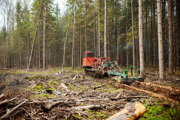 a crawler tractor is driving through a forest clearing. an industrial bulldozer is stuck in the mud. trucks are skidding in the ground