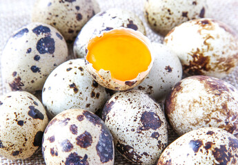 Fresh quail eggs on the rustic background. Raw egg yolk closeup. Concept healthy food.