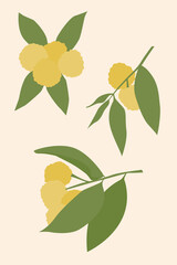 Fruit set on beige background, minimalistic illustration.