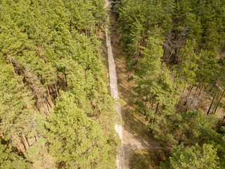 Fototapeta na wymiar Dirt road among pine trees in a coniferous forest in early spring. Aerial drone view.