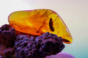 Amber made of yellow transparent fossil resin with insect inclusions photographed in the studio