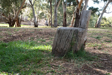 Hand sculptured seat in dead mans park gawler