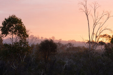 Fototapeta na wymiar Barossa goldfields at sunset with smoke haze