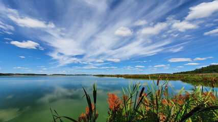 Beautiful bird pond. Cattail reed and small lake in the background. Hjälstavikens naturreservat, Sweden