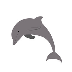 Dolphin. Sea animal. Vector illustration.
