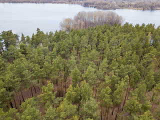 The shore of a forest lake in early spring. Aerial drone view.