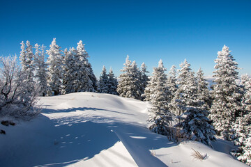 Uludag National Park view in Turkey. Uludag is famous ski resort .