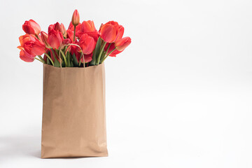 Red tulips in a craft bag on a white background with a place for text. Congratulations to the holiday birthday, Valentine's Day, anniversary, Mother's Day, Teacher's Day
