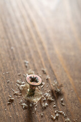 Self-tapping screw screwed into a wooden board close-up. Screw for wood