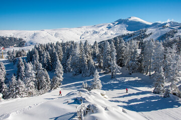 Fototapeta na wymiar Uludag National Park view in Turkey. Uludag is famous ski resort .