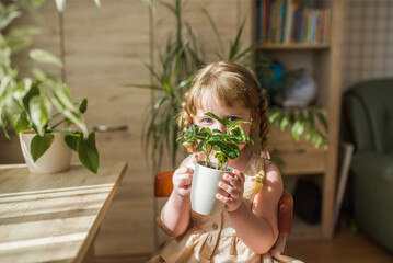 A cute baby girl takes care of houseplants. Girl watering and spraying indoor plants at home
