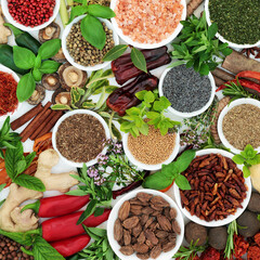 Fresh & dried spices & herb seasoning collection in porcelain bowls and loose. Flat lay.