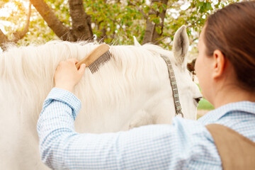 beautiful woman combs the horse's hair. A ponytail and a mane comb. Love, care pet, friendship, cleanliness. Nature outside the door, green grass, spring. grooming ranch © Valeriia