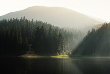 fog in the mountains