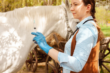 beautiful female vet inspects a white horse. Love, medicine, pet care, trust, happiness, health. A...